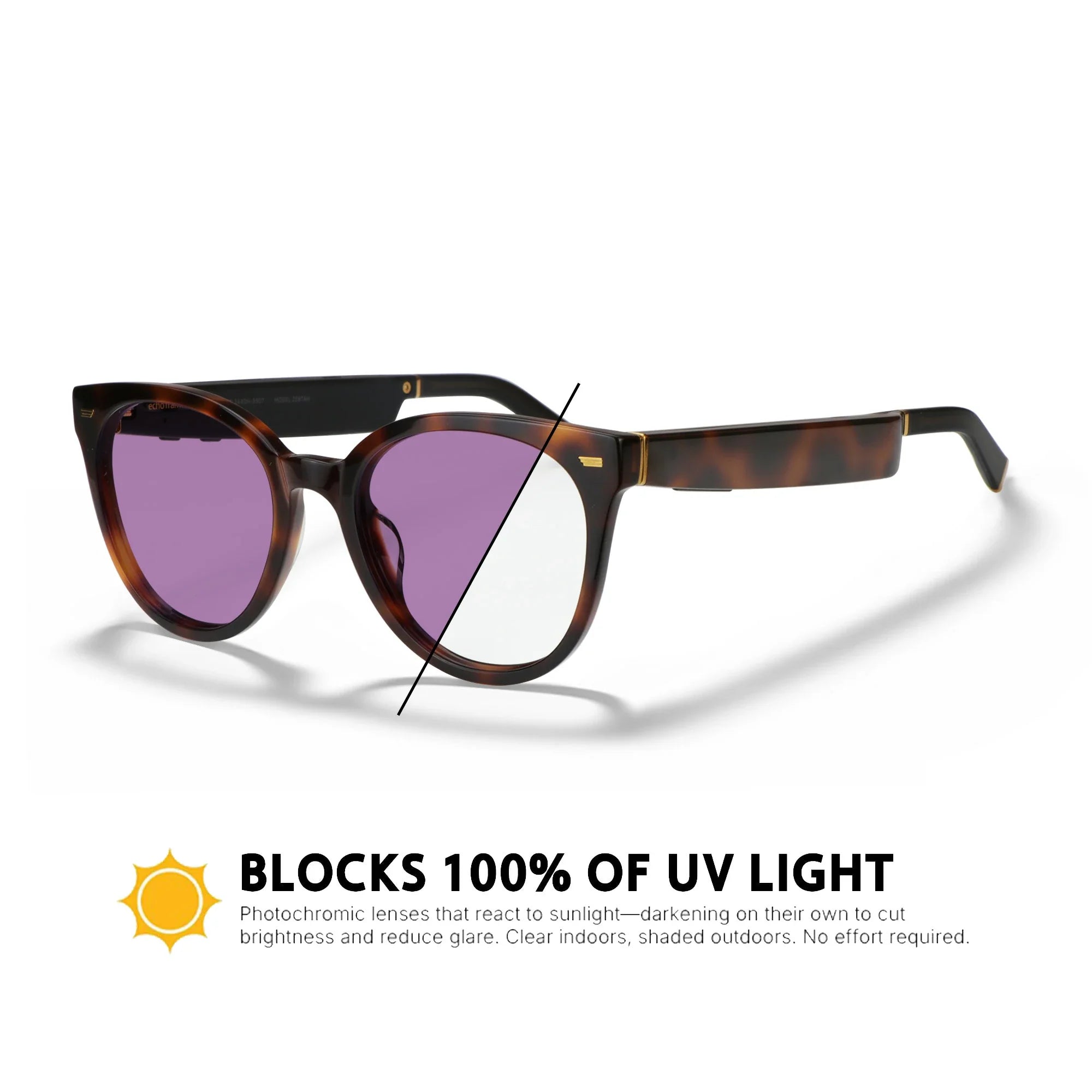 Amazon Echo Cat Eye Replacement Lenses