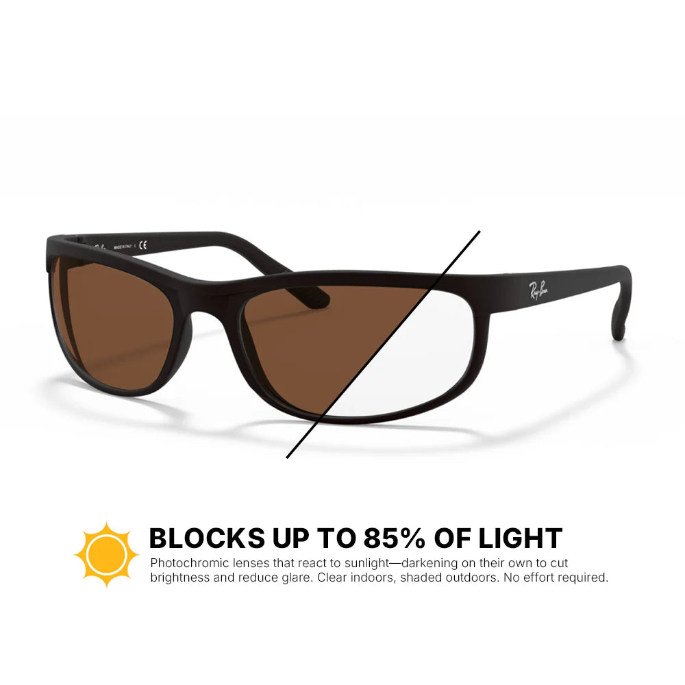 Ray-Ban Predator 2 Replacement Lenses RB2027
