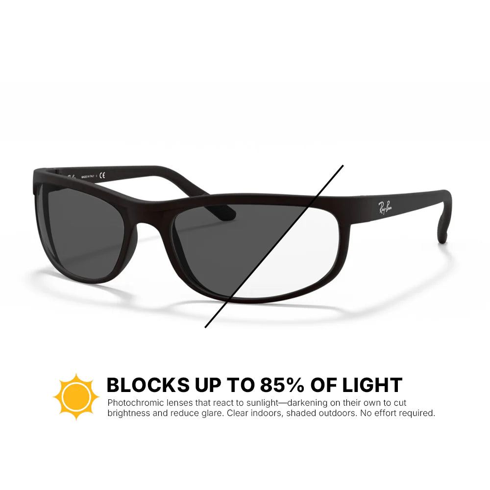 Ray-Ban Predator 2 Replacement Lenses RB2027