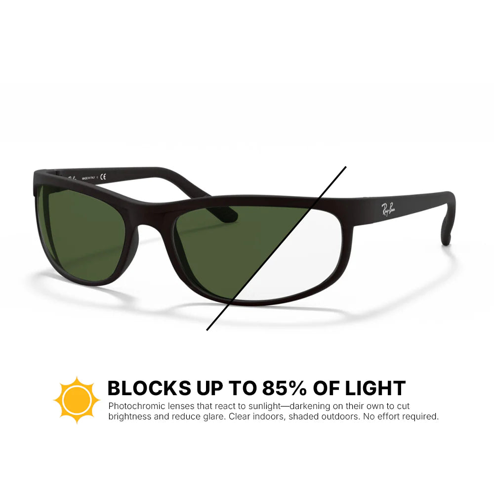 Ray-Ban Predator 2 Replacement Lenses RB2027