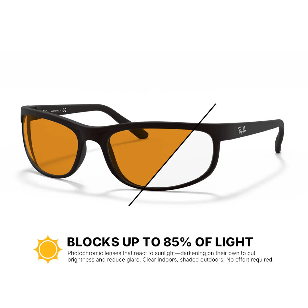 Ray-Ban Predator 2 Replacement Lenses RB2027