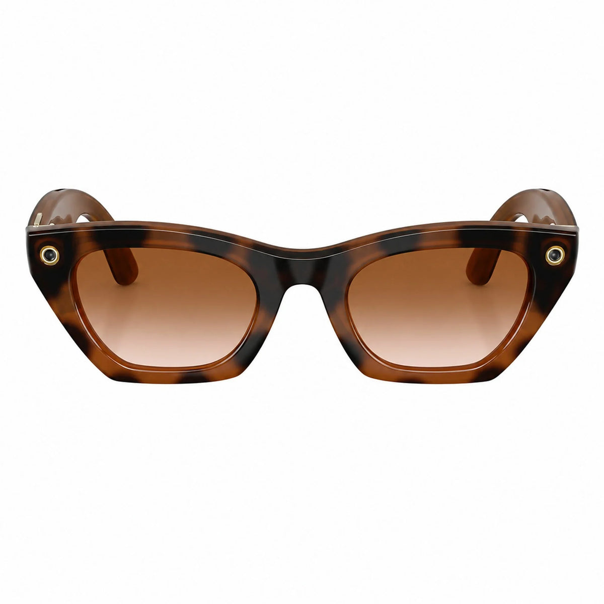 Ray-Ban Meta Zena Gen 3 smart glasses, Havana frame with Gradient Brown lenses, front view