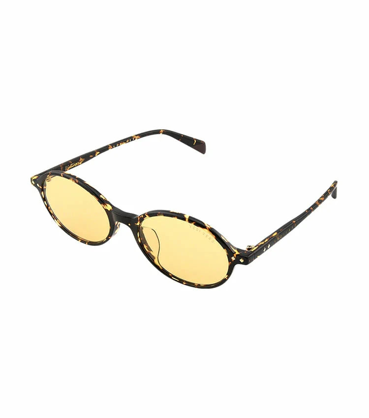 VVE66 Sunglasses
