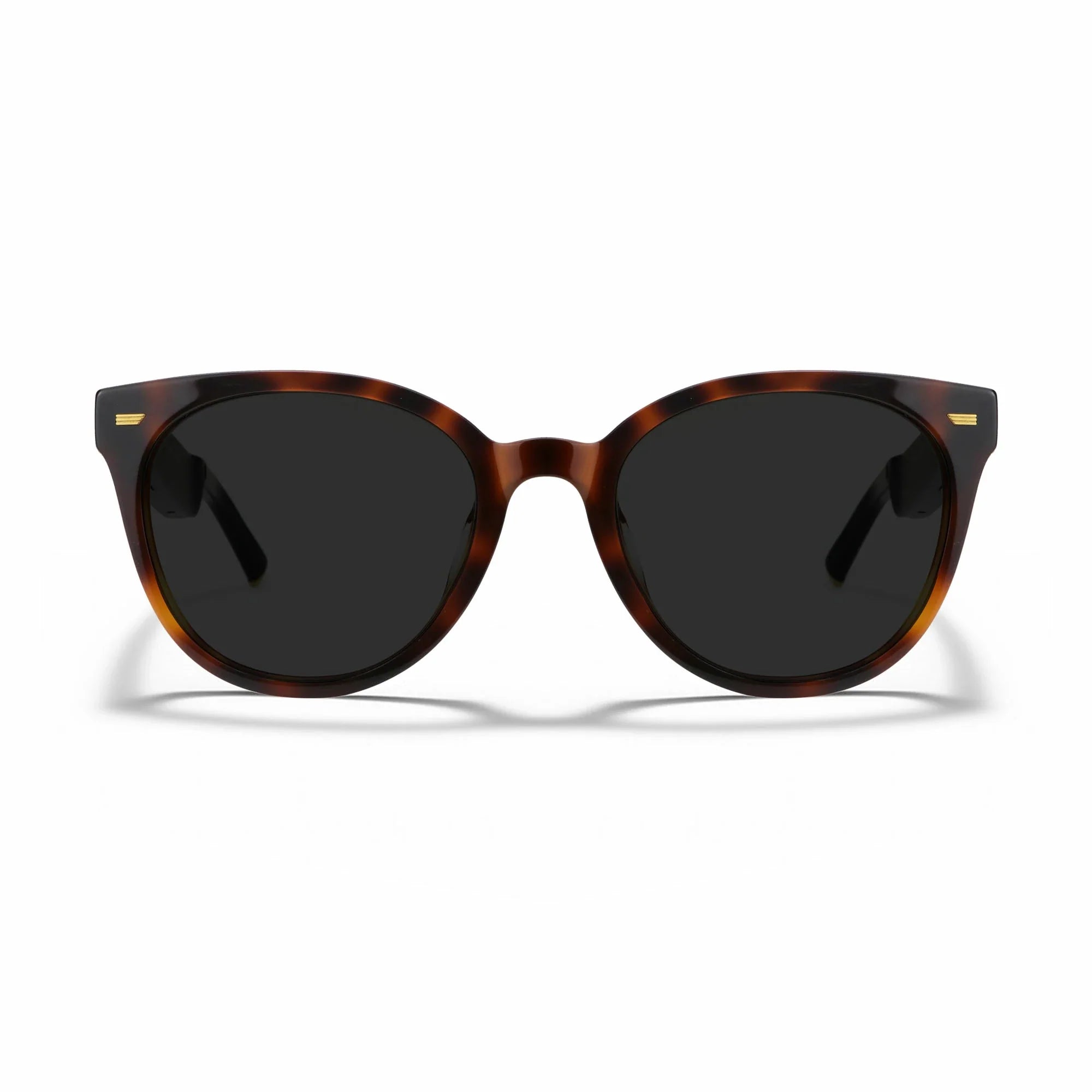Amazon Echo Cat Eye Replacement Lenses