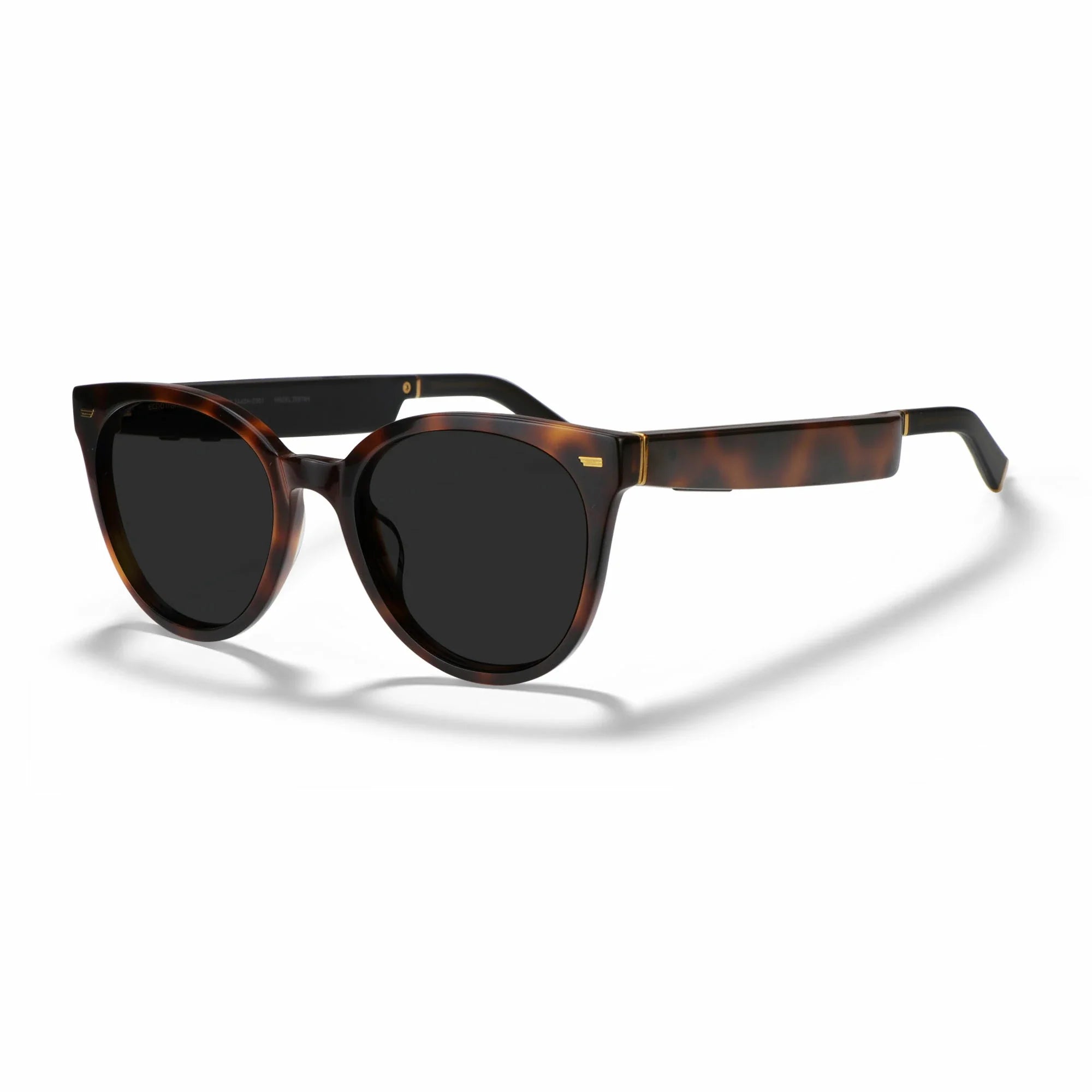 Amazon Echo Cat Eye Replacement Lenses
