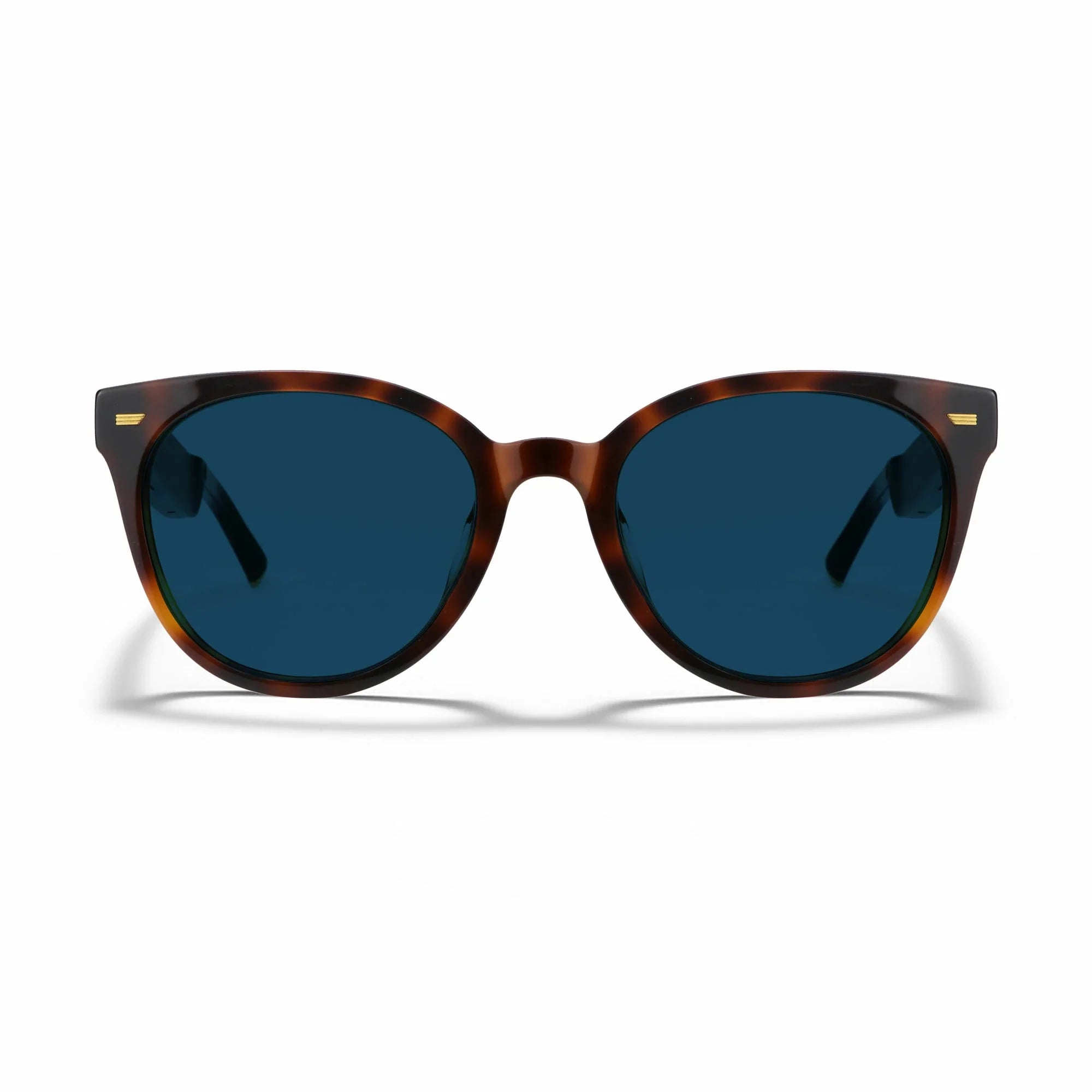 Amazon Echo Cat Eye Replacement Lenses