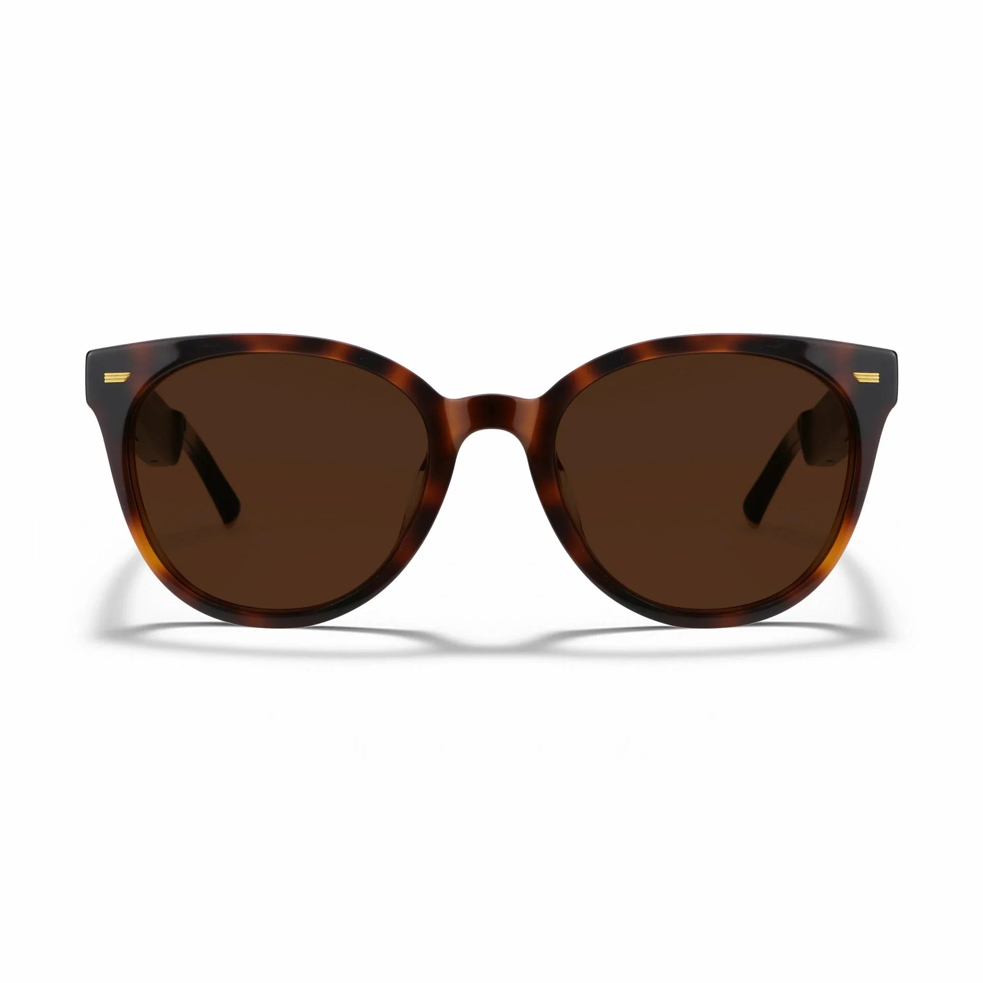 Amazon Echo Cat Eye Replacement Lenses