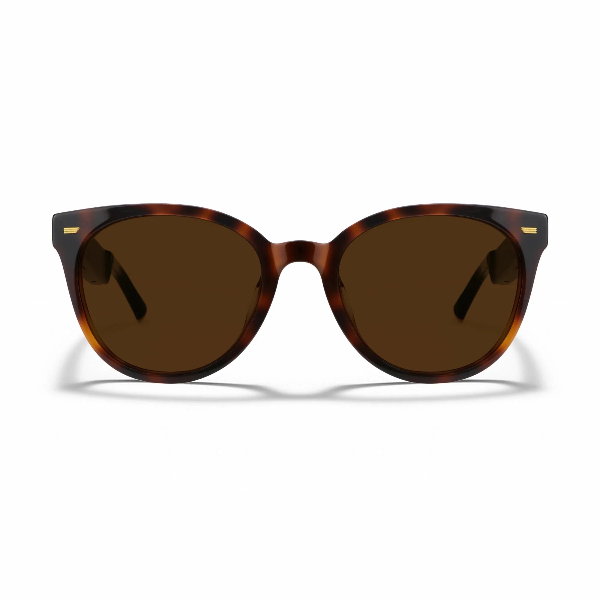 Amazon Echo Cat Eye Replacement Lenses