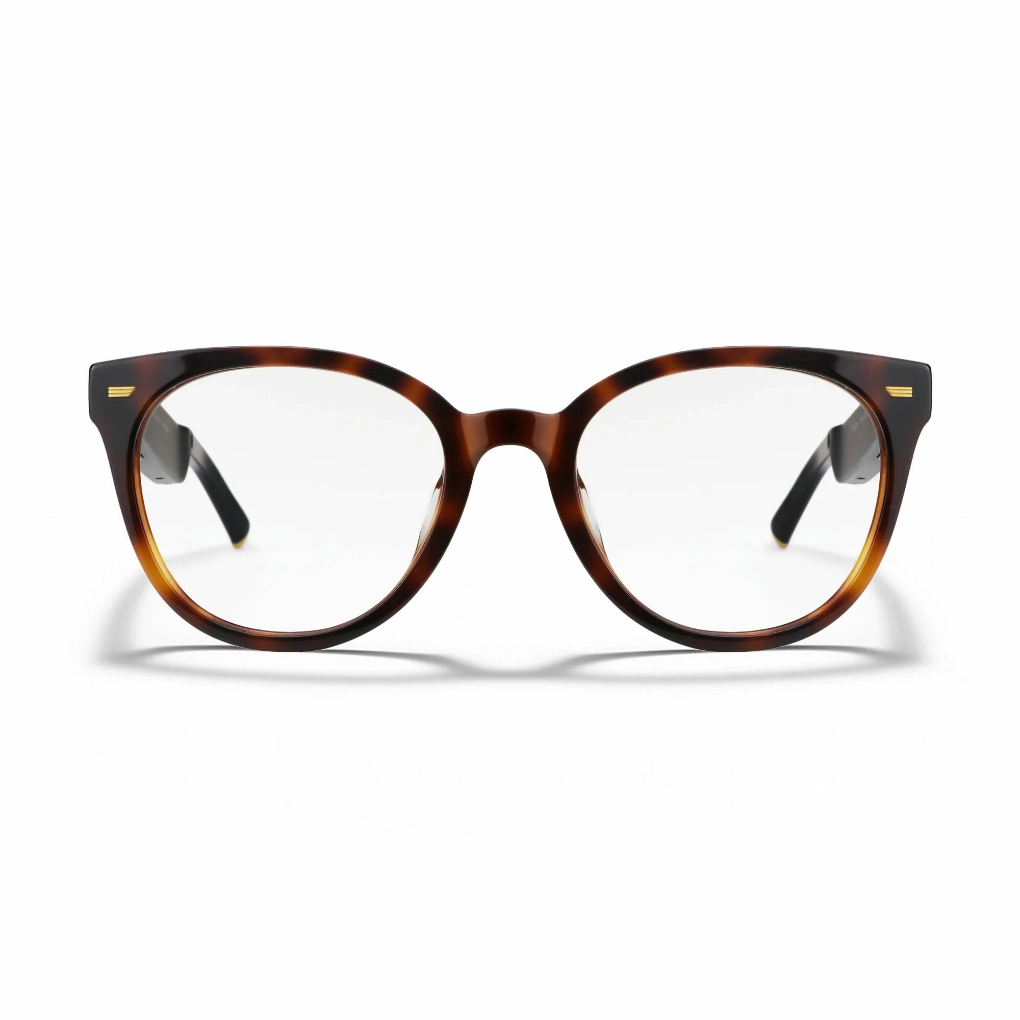 Amazon Echo Cat Eye Replacement Lenses