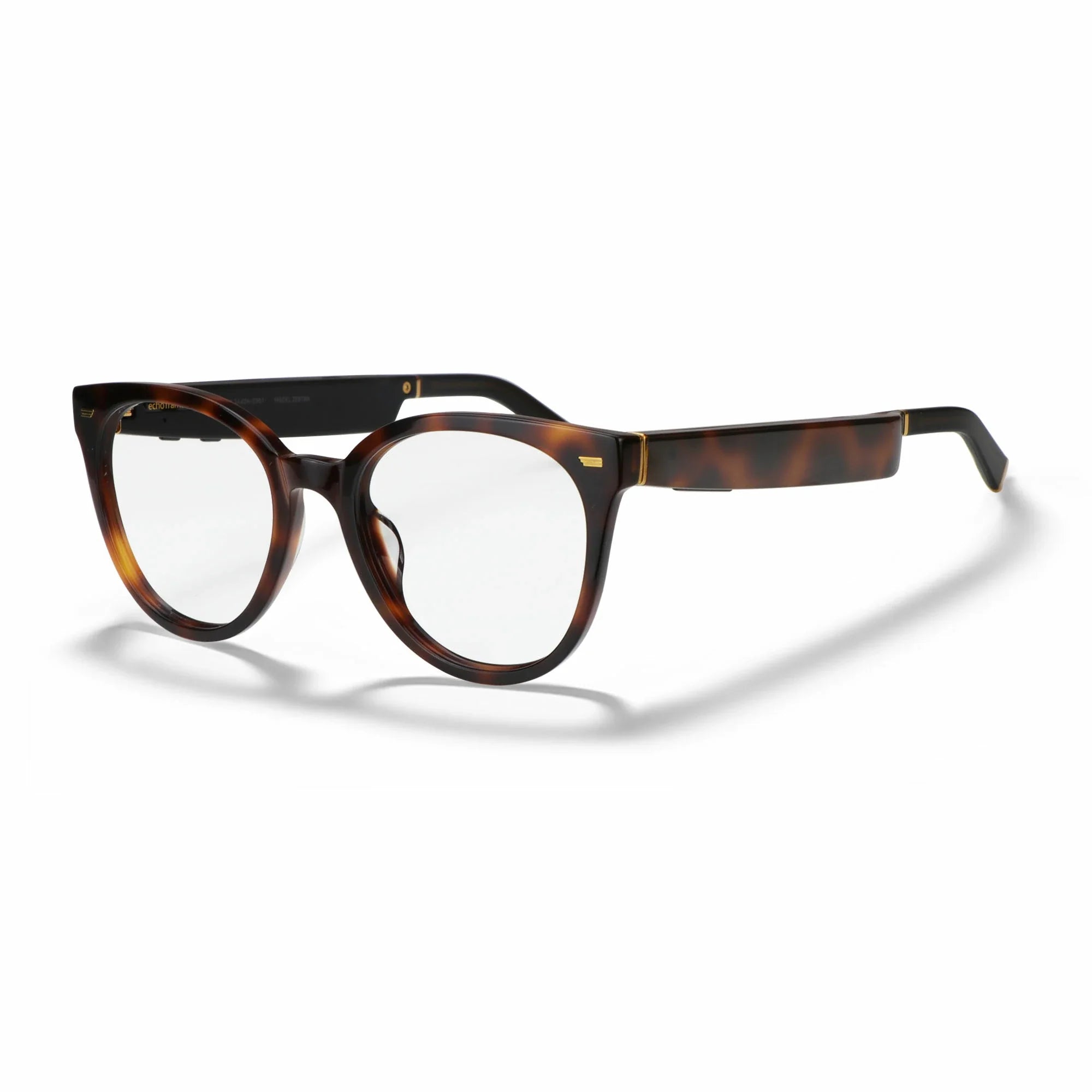 Amazon Echo Cat Eye Replacement Lenses