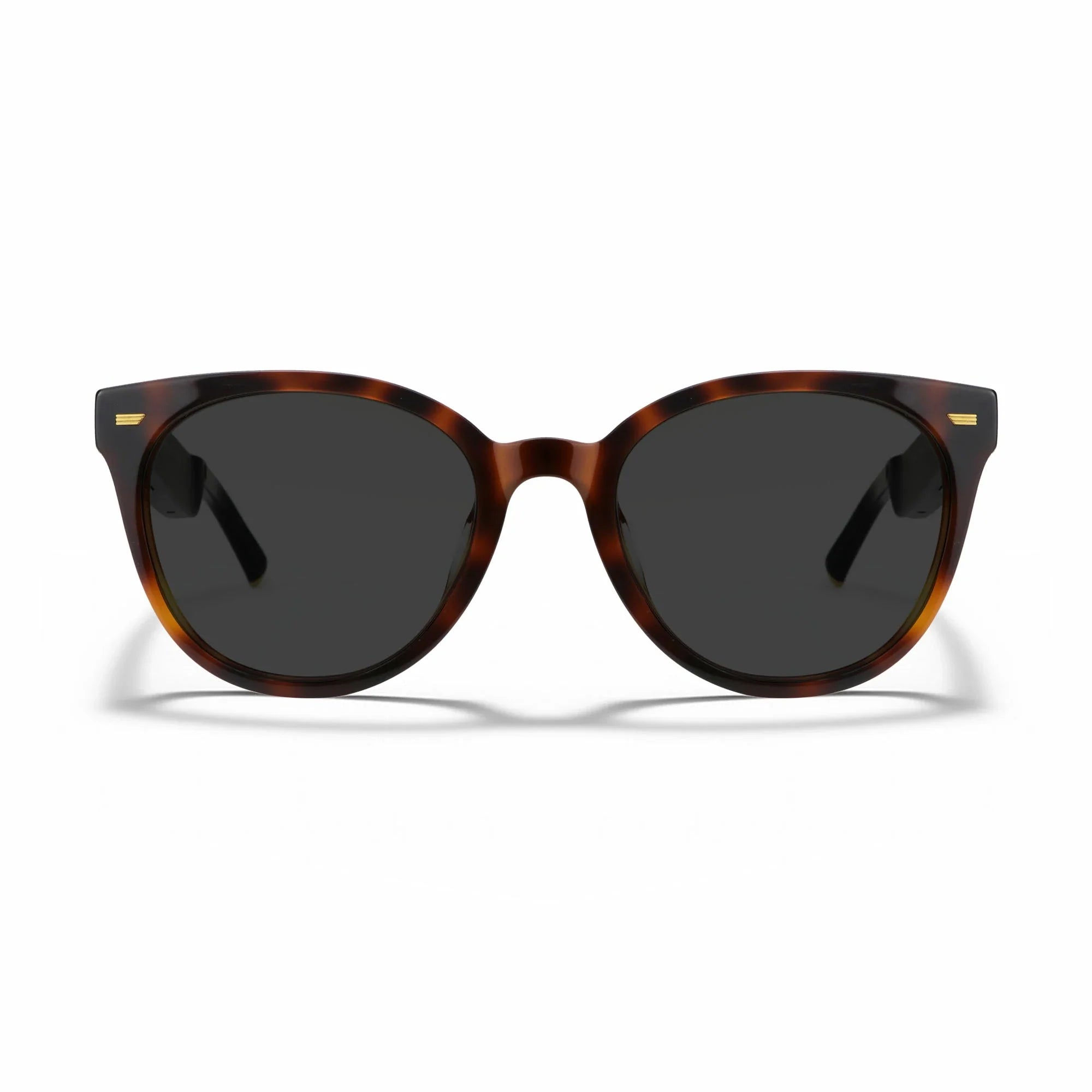 Amazon Echo Cat Eye Replacement Lenses