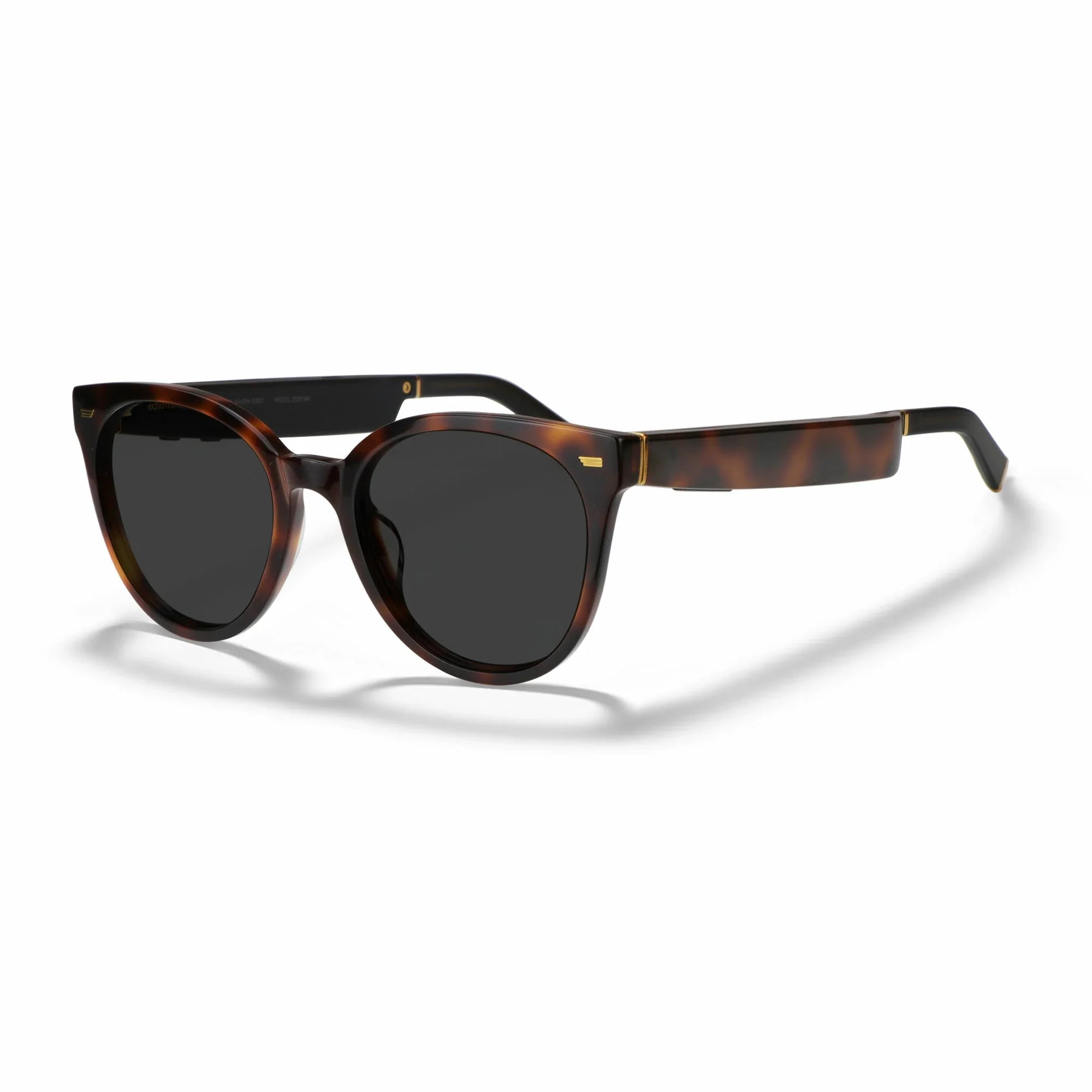 Amazon Echo Cat Eye Replacement Lenses