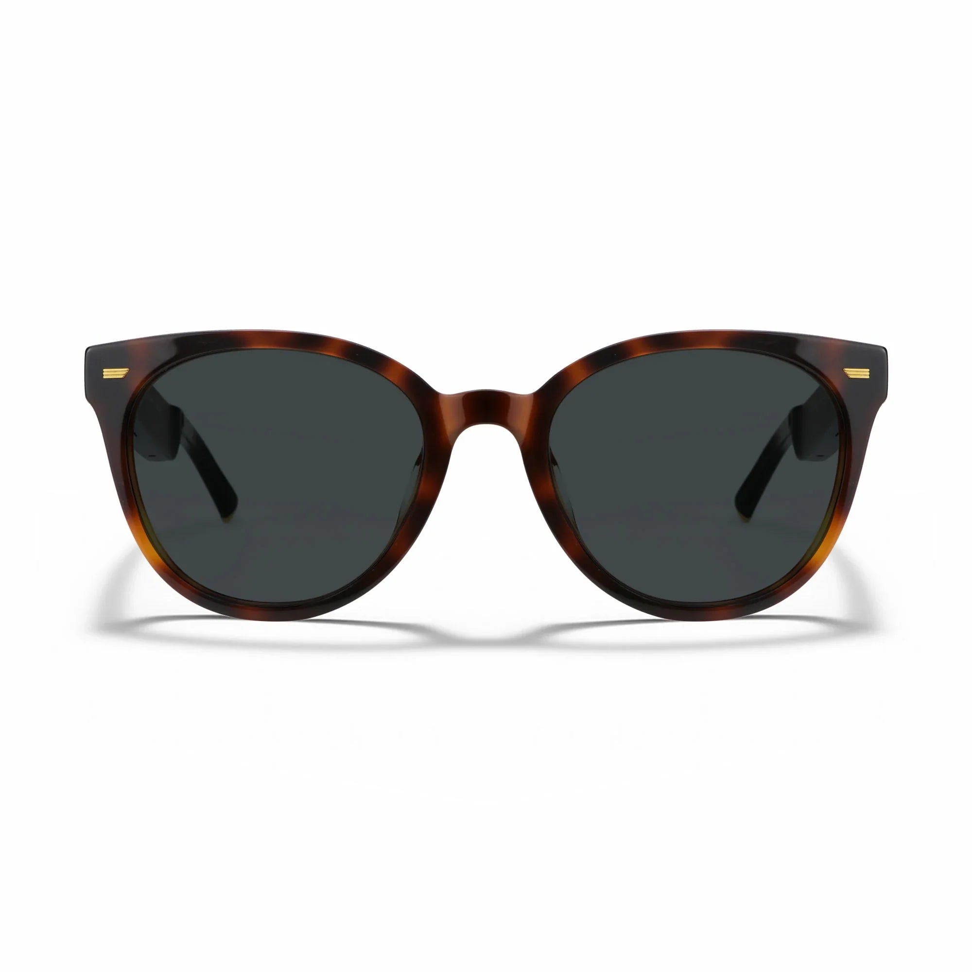 Amazon Echo Cat Eye Replacement Lenses