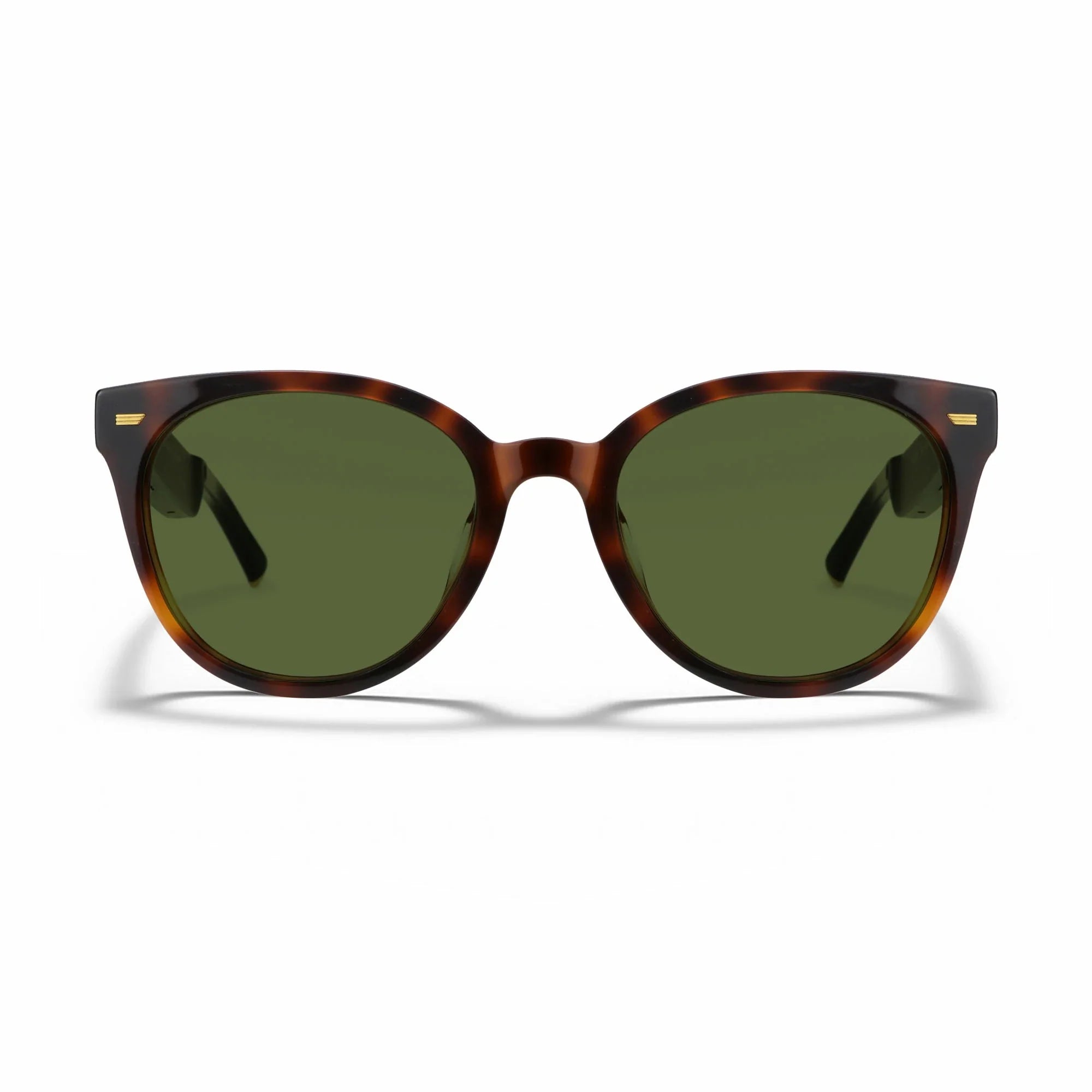 Amazon Echo Cat Eye Replacement Lenses