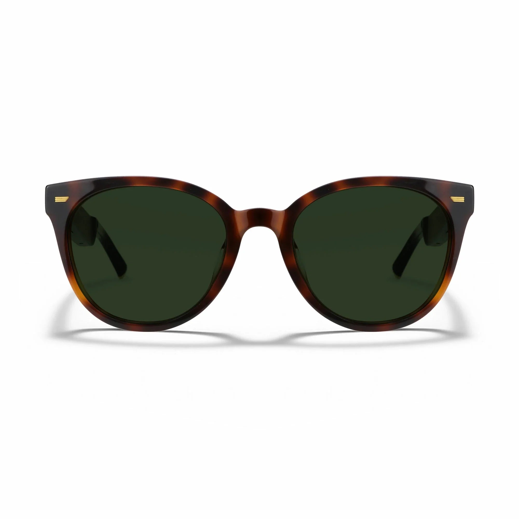 Amazon Echo Cat Eye Replacement Lenses