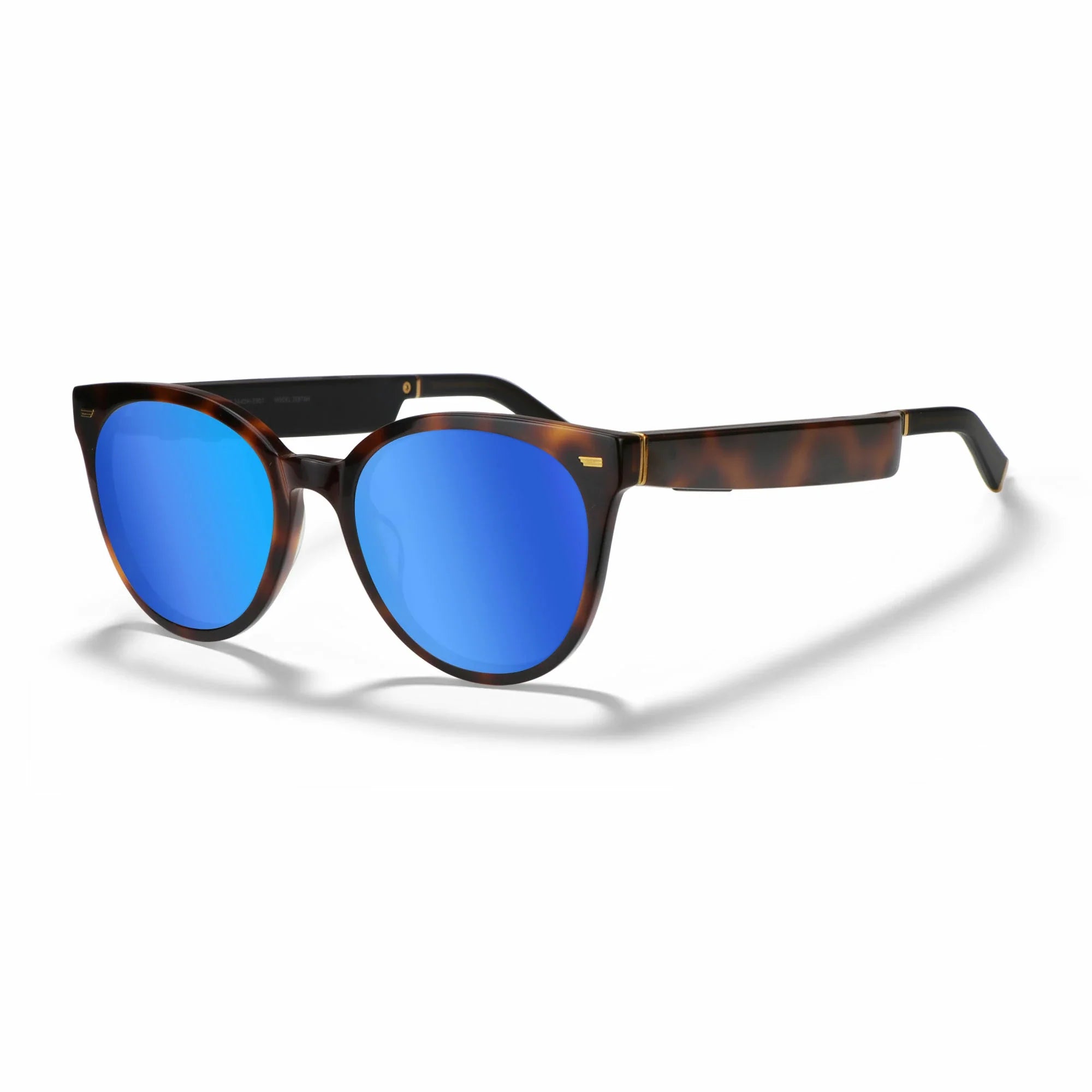 Amazon Echo Cat Eye Replacement Lenses