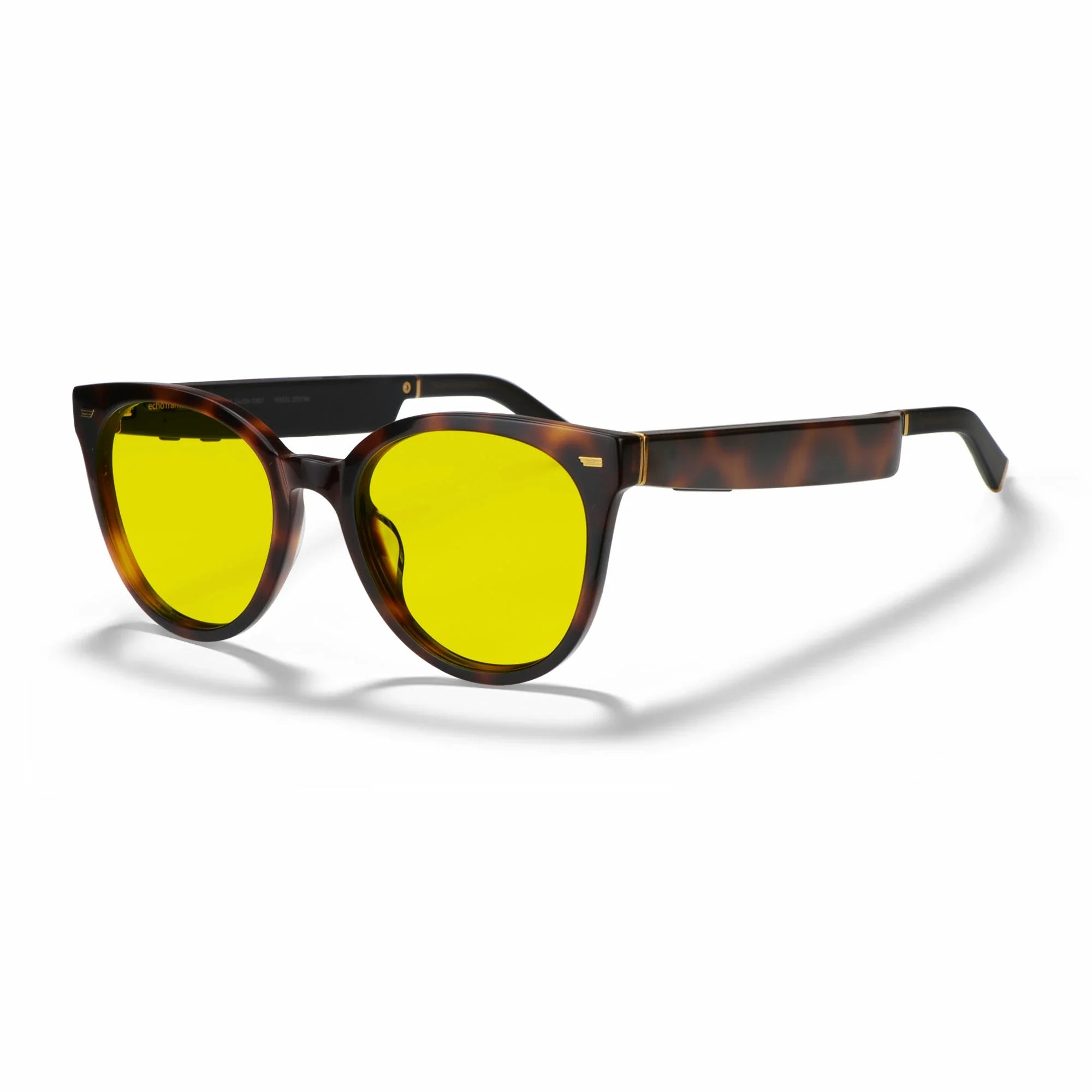 Amazon Echo Cat Eye Replacement Lenses