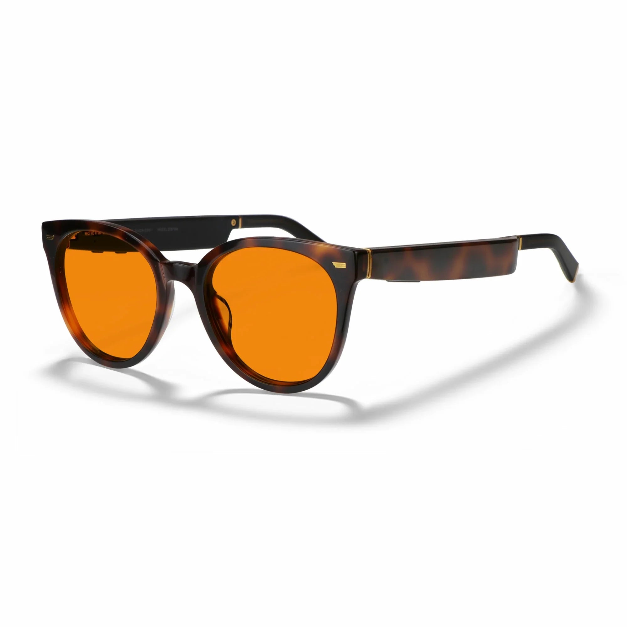 Amazon Echo Cat Eye Replacement Lenses